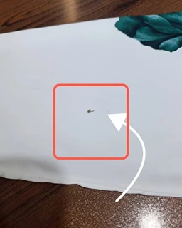 شومیز جلو بسته رز سبز کله غازی سایز-M-تخفیفی