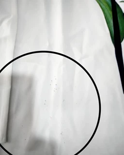 ست شومیز و شلوار رز کالباسی سایز-L-تخفیفی
