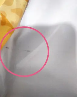 شومیز آستین واشری ریزشی سفید طرح برگهای پاییزی پارمیدا سایز-3-تخفیفی