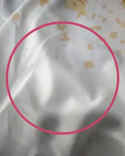 شومیز آستین واشری ریزشی سفید طرح برگهای پاییزی پارمیدا سایز-4-تخفیفی