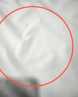 شومیز آستین واشری ریزشی سفید طرح گلهای زرد و نارنجی پریناز سایز-3-تخفیفی