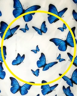 شومیز آستین واشری سفید طرح پروانه کاربنی نیاز سایز-2-تخفیفی