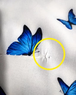 شومیز آستین واشری سفید طرح پروانه کاربنی نیاز سایز-3-تخفیفی