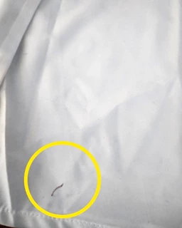 شومیز جلو بسته آبی سفید طرح ایتالیایی سایز-2-تخفیفی